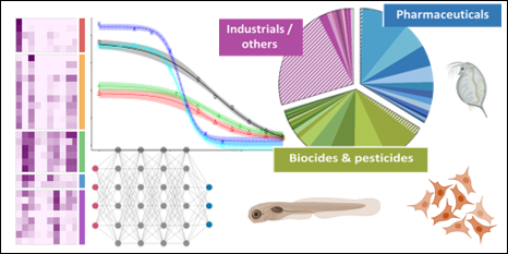 Diagnose, Mechanism, and Prediction of Toxicity
